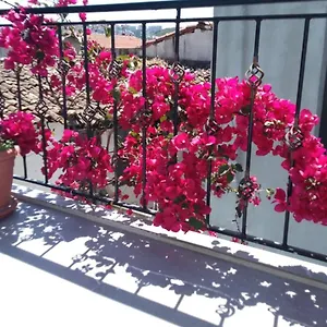 Casa Magnolia Boutique Hotel
